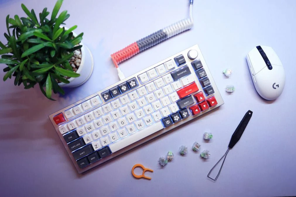 Bàn Phím Cơ Là Gì? Giải đáp từ A-Z mọi thắc mắc cho người mới bắt đầu