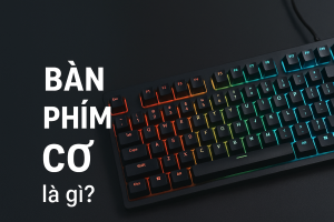Bàn Phím Cơ Là Gì? Giải đáp từ A-Z mọi thắc mắc cho người mới bắt đầu